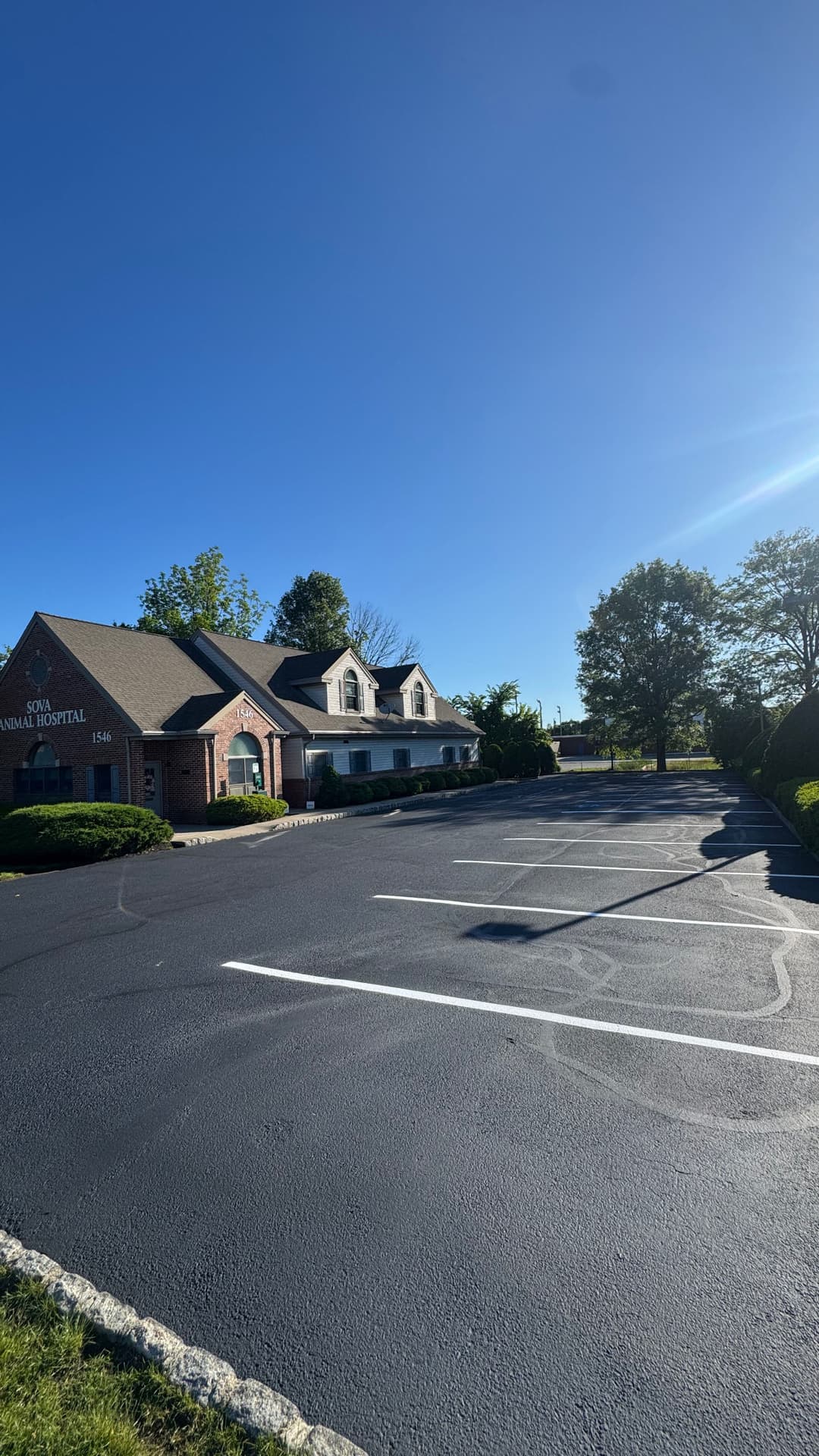 Veterinary hospital exterior with clear skies and empty parking lot, surrounded by greenery.