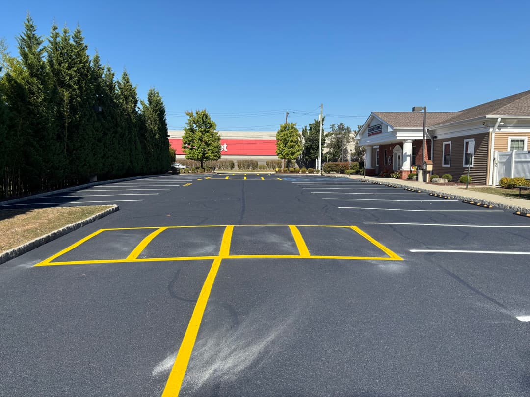 Spacious parking lot with clear yellow lines and trees against a blue sky.