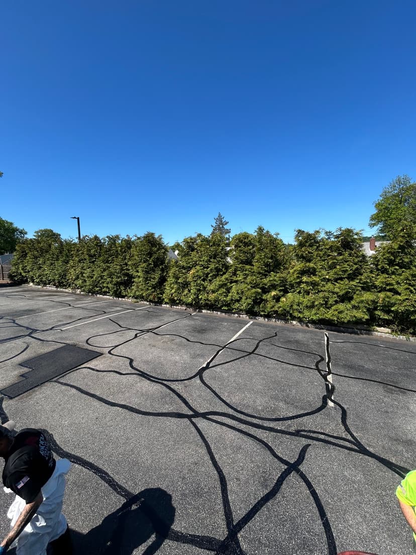 Cracked asphalt parking lot with greenery and clear blue sky in the background.