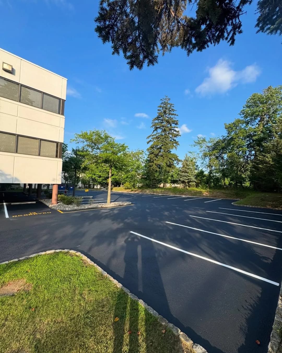 Paved parking lot with trees and blue sky near a commercial building.