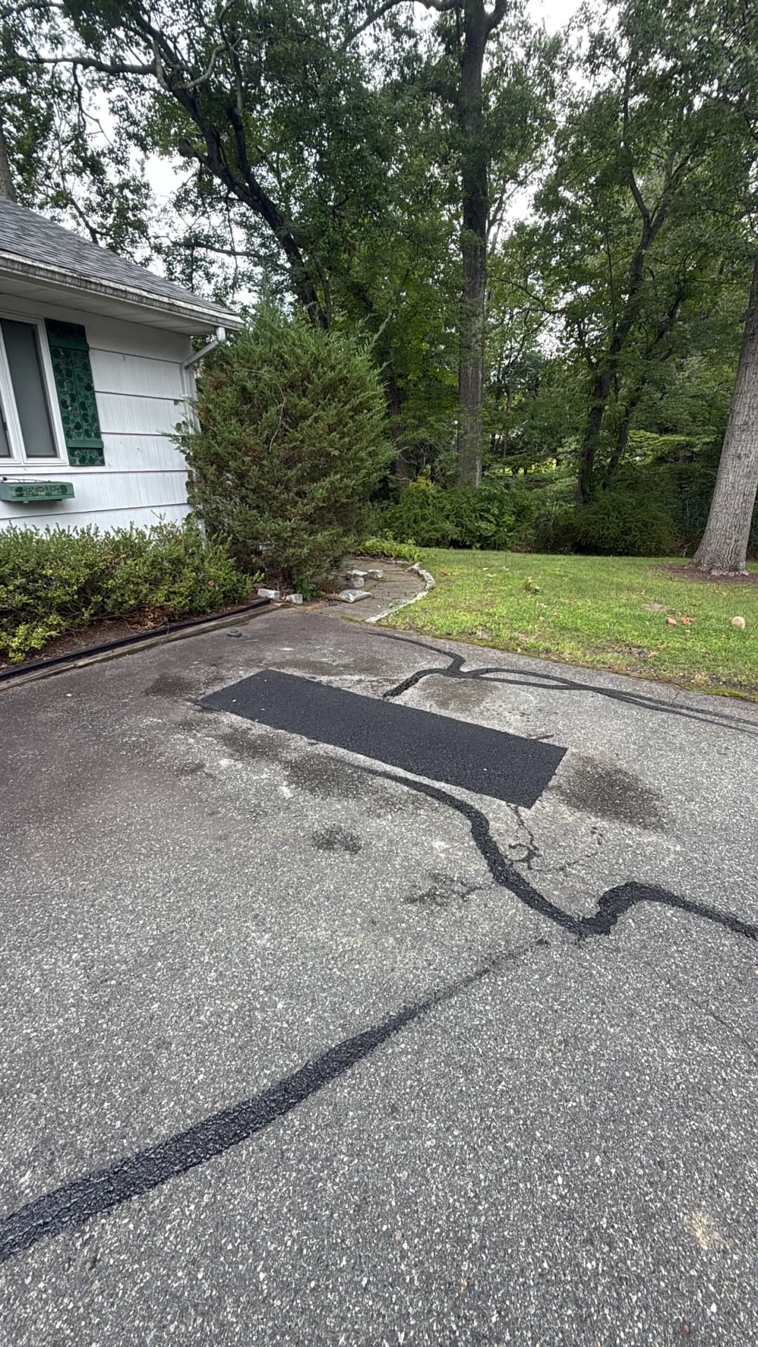 Paved driveway repair with fresh asphalt overlay and surrounding greenery.
