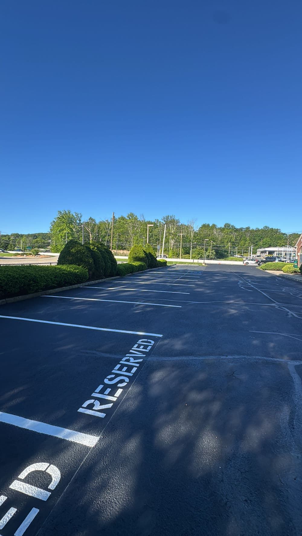 Reserved parking spaces in a sunny lot with green trees in the background.