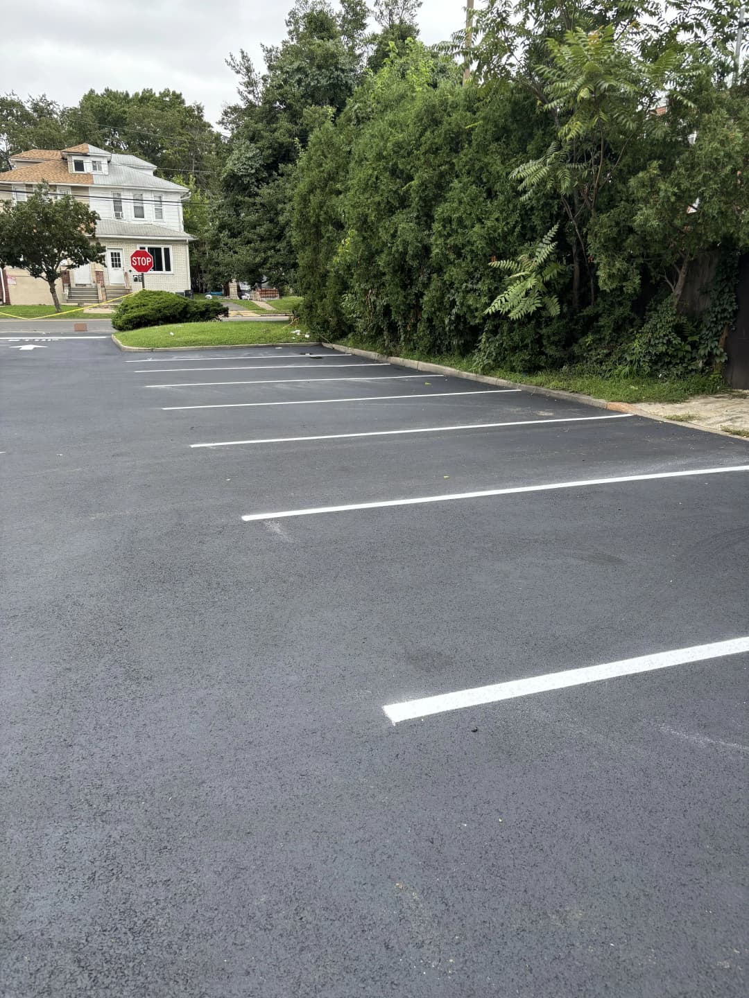 Empty parking lot with painted lines and a stop sign near lush greenery.