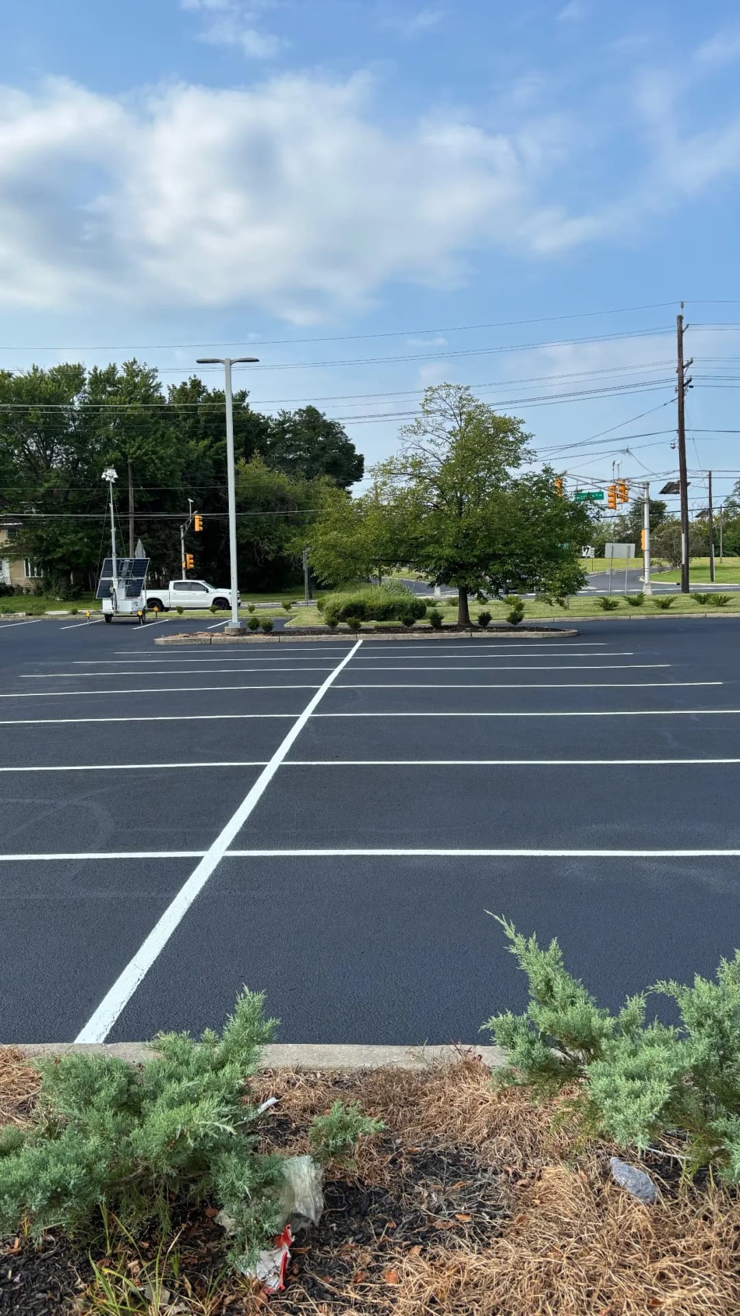Empty parking lot with freshly painted lines and a tree near traffic lights and power lines.